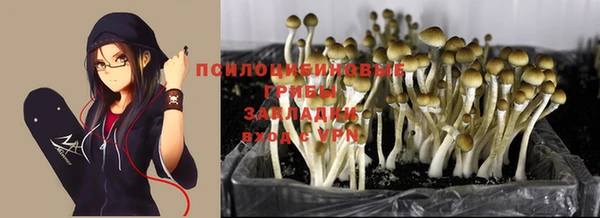 каннабис Алзамай