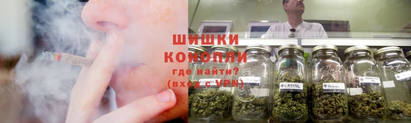 крисы Покачи