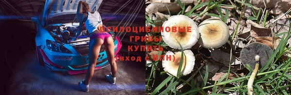 гашик Абинск