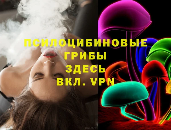 гидра Алексеевка