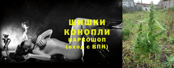 гидра Алексеевка