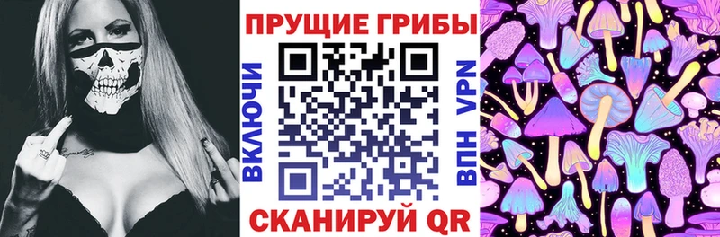 MEGA рабочий сайт Котельнич Псилоцибиновые грибы Psilocybine cubensis
