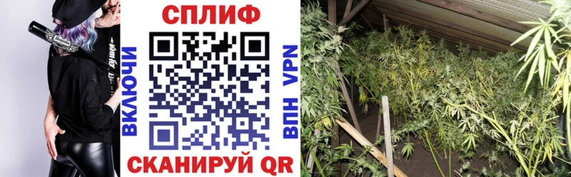Марихуана VHQ  blacksprut зеркало  Котельнич 